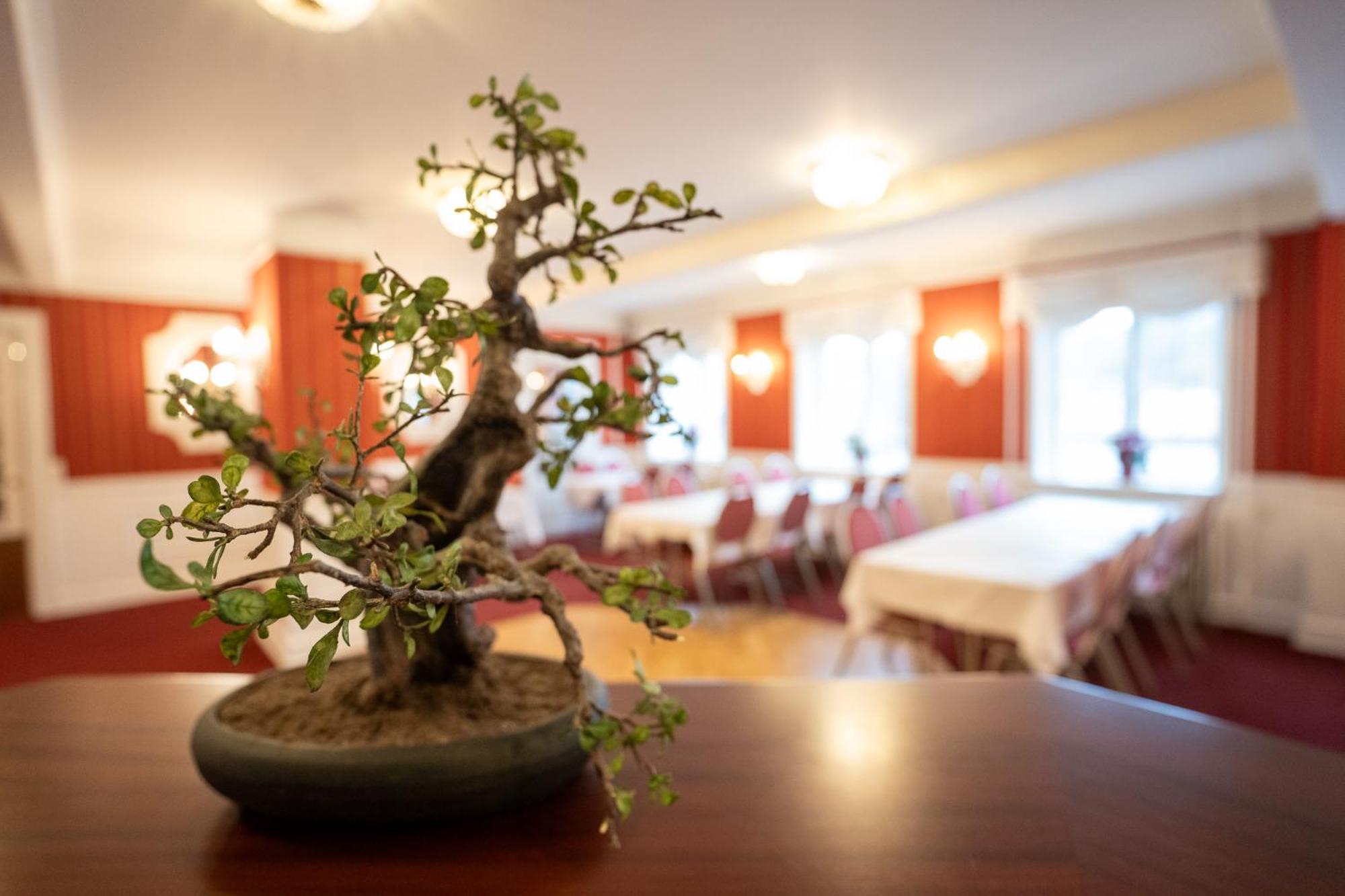 Frederiksvaerk Hotel Dış mekan fotoğraf